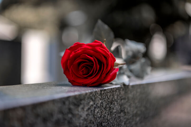 Flower on a tombstone after a death of a loved one.